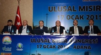 Ulusal Mısır Kongresi Adana`da Toplandı