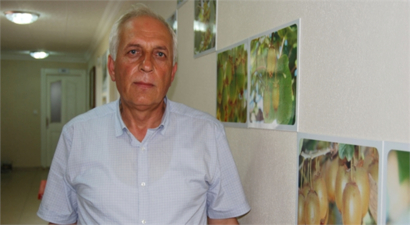 Yalovalı kiviciler endişeli