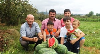 Adana`da Tarlada 10 Kuruş Trabzon`da Tarlada 1,5 Tl