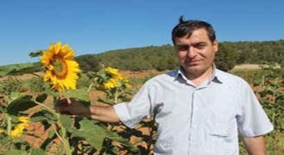 Hüyük`te Ayçiçeği Üretimine Kuş Engeli