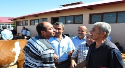 Kurbanlıklar Görücüye Çıktı