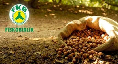 Fiskobirlik, 2015 Ürünü Bin 500 Ton Fındık Aldı