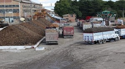 Malatya`da Şeker Pancarı Alım Kampanyası Başladı