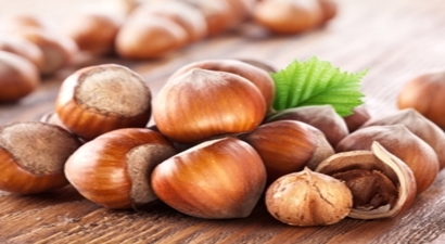 Fındık Fiyatı Bu Sezonun En Düşük Seviyesine İndi