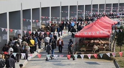Anadolu EXPO Canlı Hayvan Fuarında Satış Rekoru Kırıldı