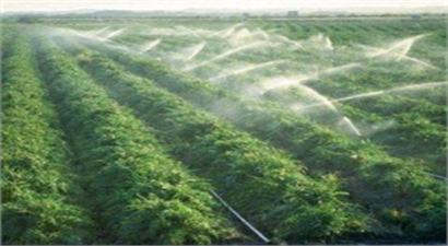 İyi Tarım Uygulamaları Çiftçi Toplantıları Devam Ediyor