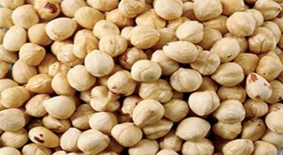 Türk Fındığı Çin`de Tanıtıldı