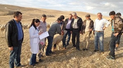 Küpeleme Çalışmaları Arapgir`den Başladı