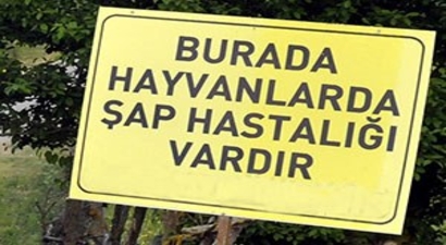 Kütahya Simav`da Şap Hastalığı Karantinası
