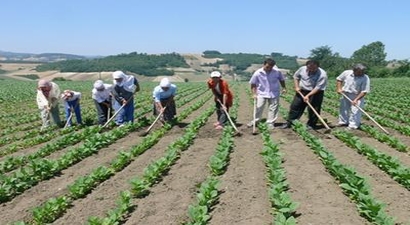 Çiftçilere 100 Lira Küçük Aile İşletmesi Desteği Verilecek