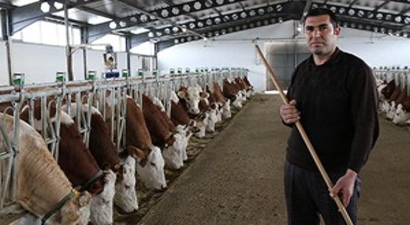 Çobanlıktan Patronluğa
