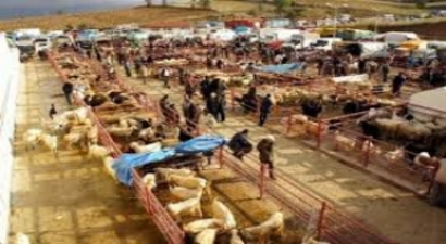 Kastamonuda Hayvan Pazarları Kapatıldı