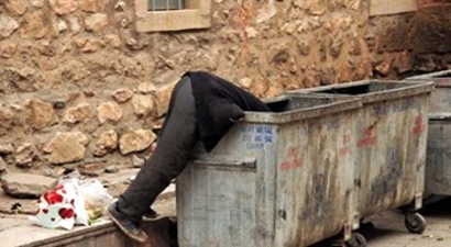İnekleri İçin Çöpten Yiyecek Topluyor