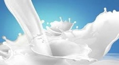 Süt Desteklemeleri Arttı