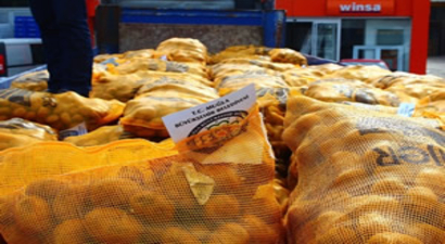 Büyükşehir, Üreticilere 130 Ton Patates Tohumu Dağıttı