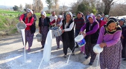 Köylü Kadınlar Sütlerini Sokağa Döktü