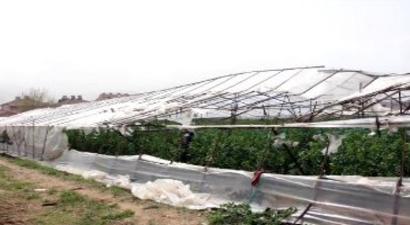 Fethiye`deki Fırtına Seraları Yıktı