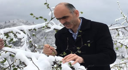 Fındık Üreticileri Bu Sezondan Umudunu Kesti