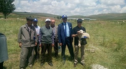 Çiftçiler, Yeni Hububatı İnceledi