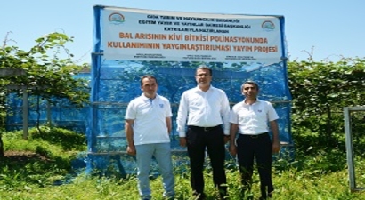 Kiviye Arı Dopingi