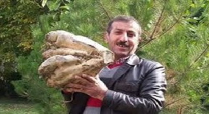 Hormonsuz Dev Pancar Arguvan`dan