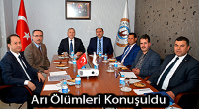 Bal Arısı Ölümlerine Çare Aranıyor