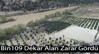 Bin 109 Dekar Alan Zarar Gördü