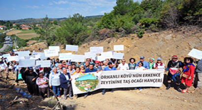 İzmir`in Erkence Zeytinine Taş Ocağı Hançeri!