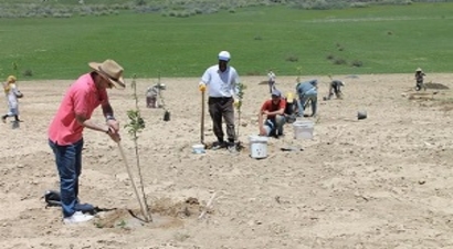 Meyveciliği Geliştirme ve Yayma Projesi
