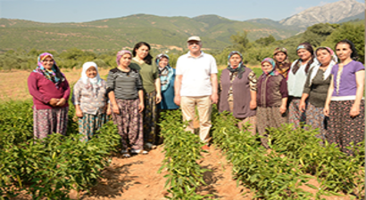 Bayraktar, Kadın Çiftçilerle Hasat Yaptı