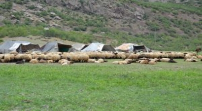 KÜÇÜKBAŞ HAYVANCILĞA DÖNÜŞ BAŞLADI
