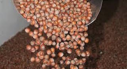 FİSKOBİRLİK ALIMLARA BAŞLIYOR