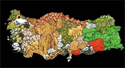 2020 Yılı Tarım Havzalarında Desteklenecek Ürün Listeleri