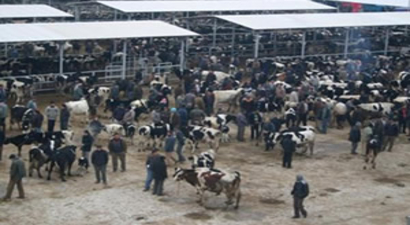 Koronavirüs Tedbirleri Kapsamında 5 İldeki Çalışmalar Devam Ediyor