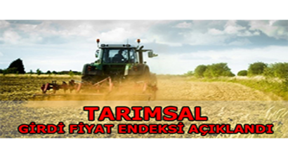Tarımsal Girdi Fiyat Endeksi Açıklandı