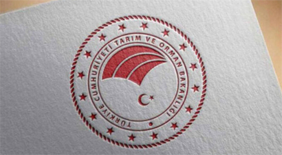 UZMAN ELLER PROJESİ HİBE DESTEĞİ 250 BİN LİRAYA ÇIKARILDI