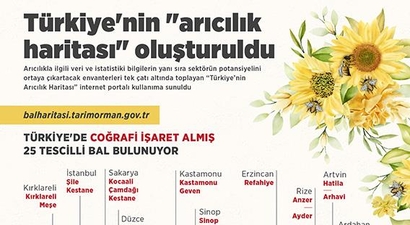 TÜRKİYE`NİN `ARICILIK HARİTASI` OLUŞTURULDU