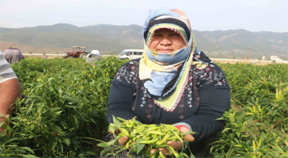 Yüzleri Yanmasın Diye Ellerini Sürmeyen İşçiler