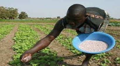 `Fırsat Bitkileri` Afrika`da Beslenmeyi Artırabilir