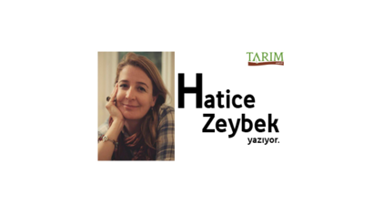 HAYVAN GÜBRESİ (BOK DEĞİLDİR)