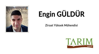 Tarım ve Çocuk