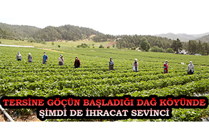 Tersine Göçün Başladığı Dağ Köyünde Şimdi de İhracat Sevinci