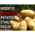 Niğde`ye Mısır`dan Patates İthal Edildi