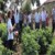 Çiftçiler Entegre Mücadeleyi Tarlada Öğreniyor