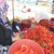 İSOT`un Bu Yıl Kilosu 30 Lira