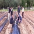 Tokat`ta Alternatif Ürün Projesi