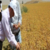 Aspir Alanları İncelendi