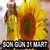 Yağlı Tohumlu Bitkiler Desteğinde Son Gün 31 Mart