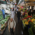 Üretici Market Fiyatlarında Ağustos Ayı