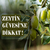 ZEYTİN GÜVESİ (Prays oleae)
